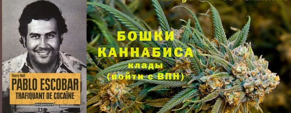 экстази Краснослободск